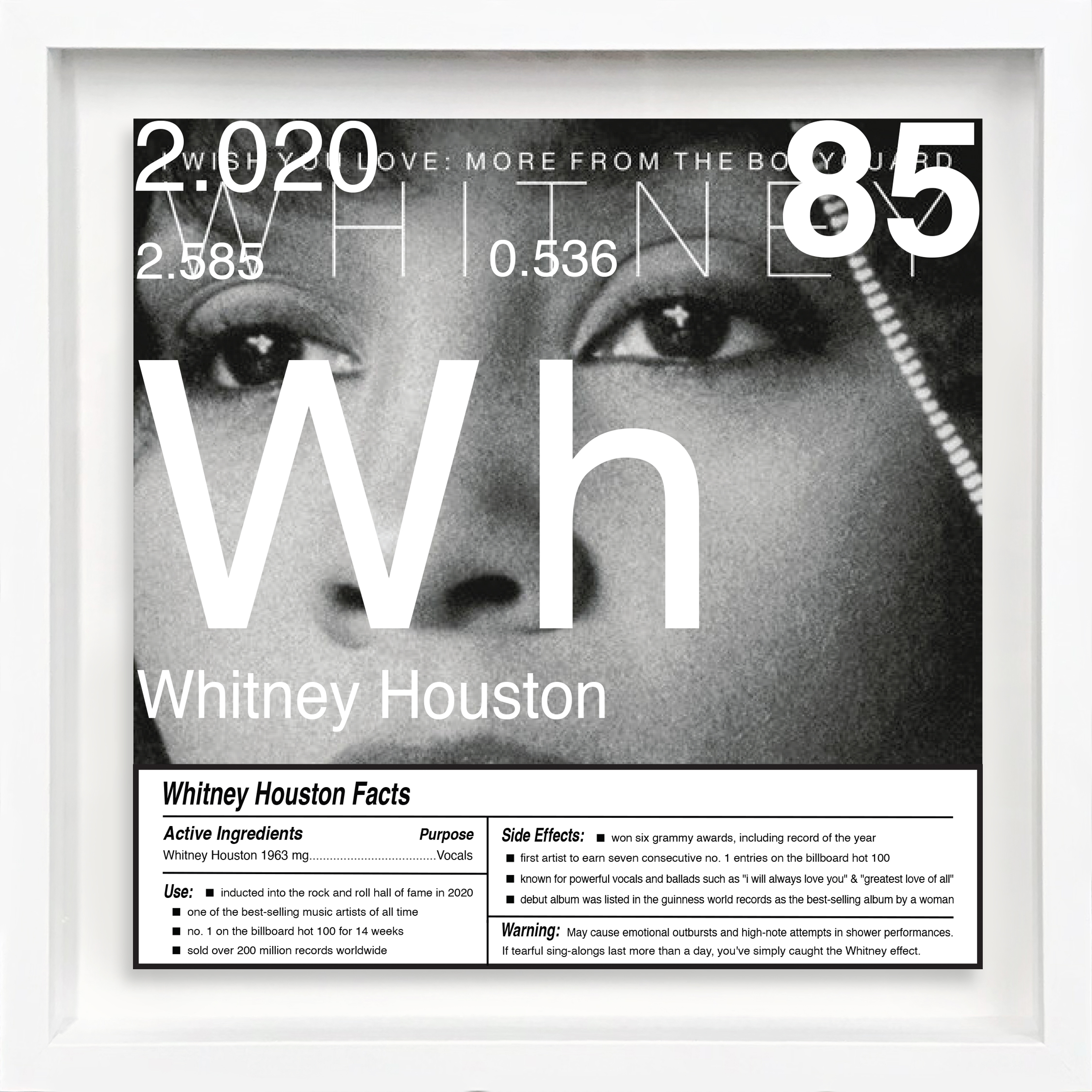 Whitney Houston artwork